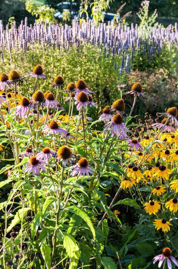 Puurteuven B&B Tussen Kunst En Natuur Voeren Dış mekan fotoğraf